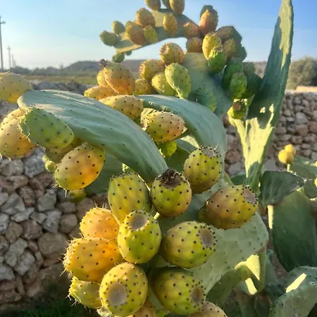 Appartamento Viola - Con Giardino A Pochi Passi Dal Mare Lido Marini